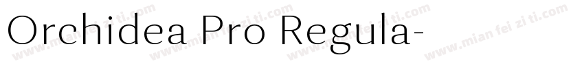 Orchidea Pro Regula字体转换